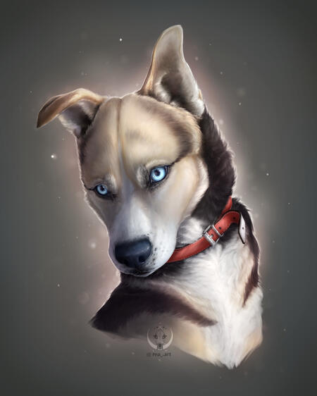 Bako